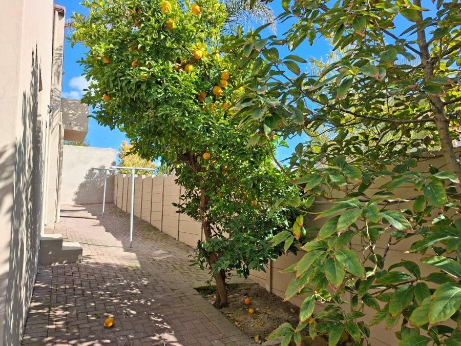 To Let 3 Bedroom Property for Rent in Jakarandas Western Cape